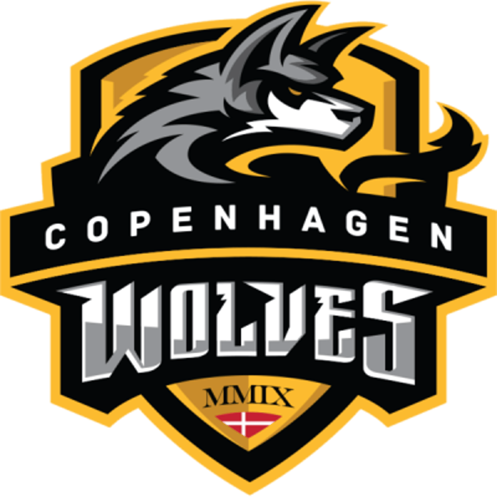 team logo