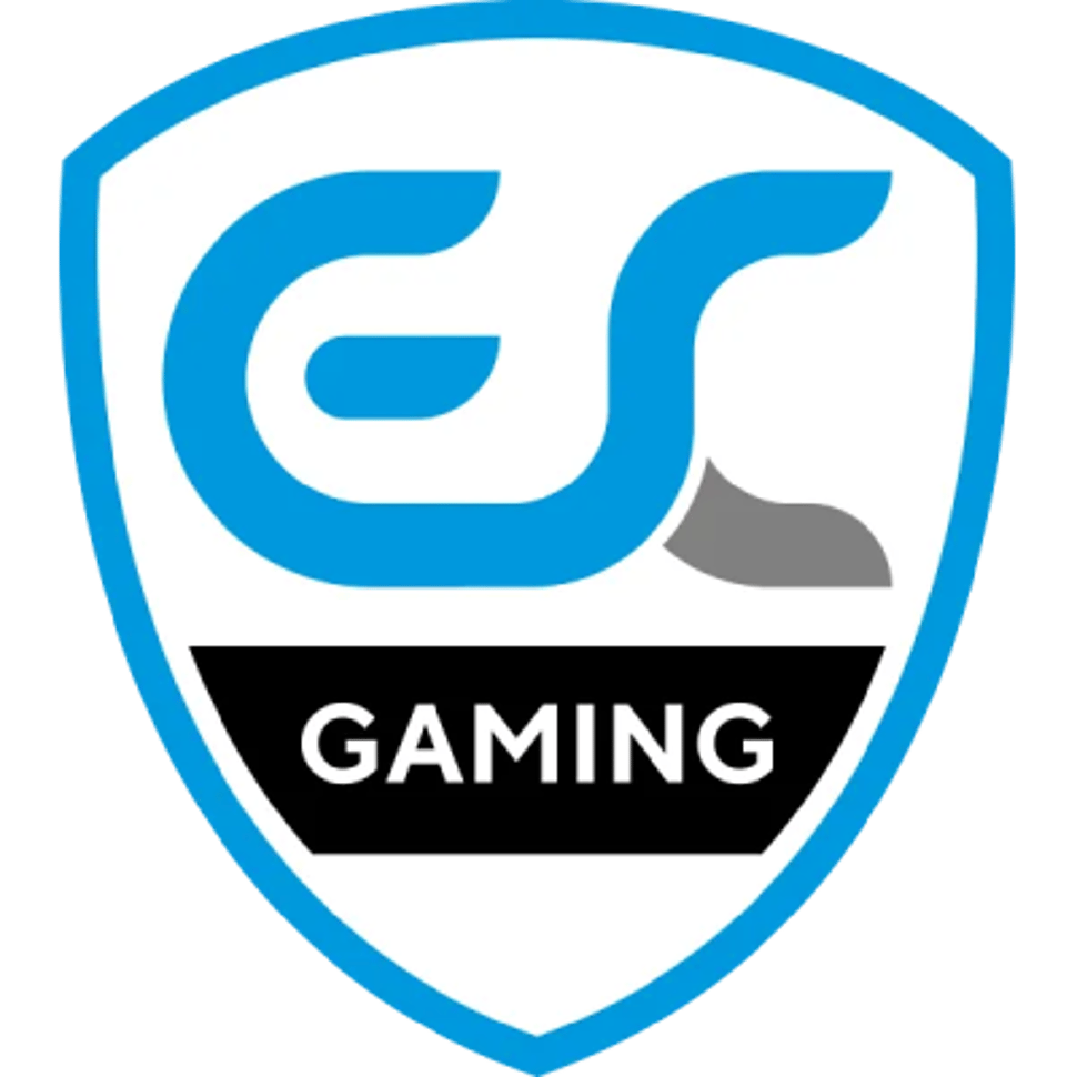 team logo