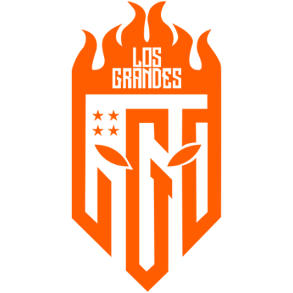 team logo