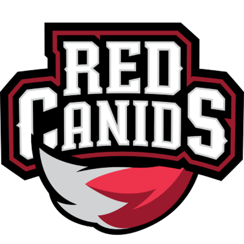 team logo