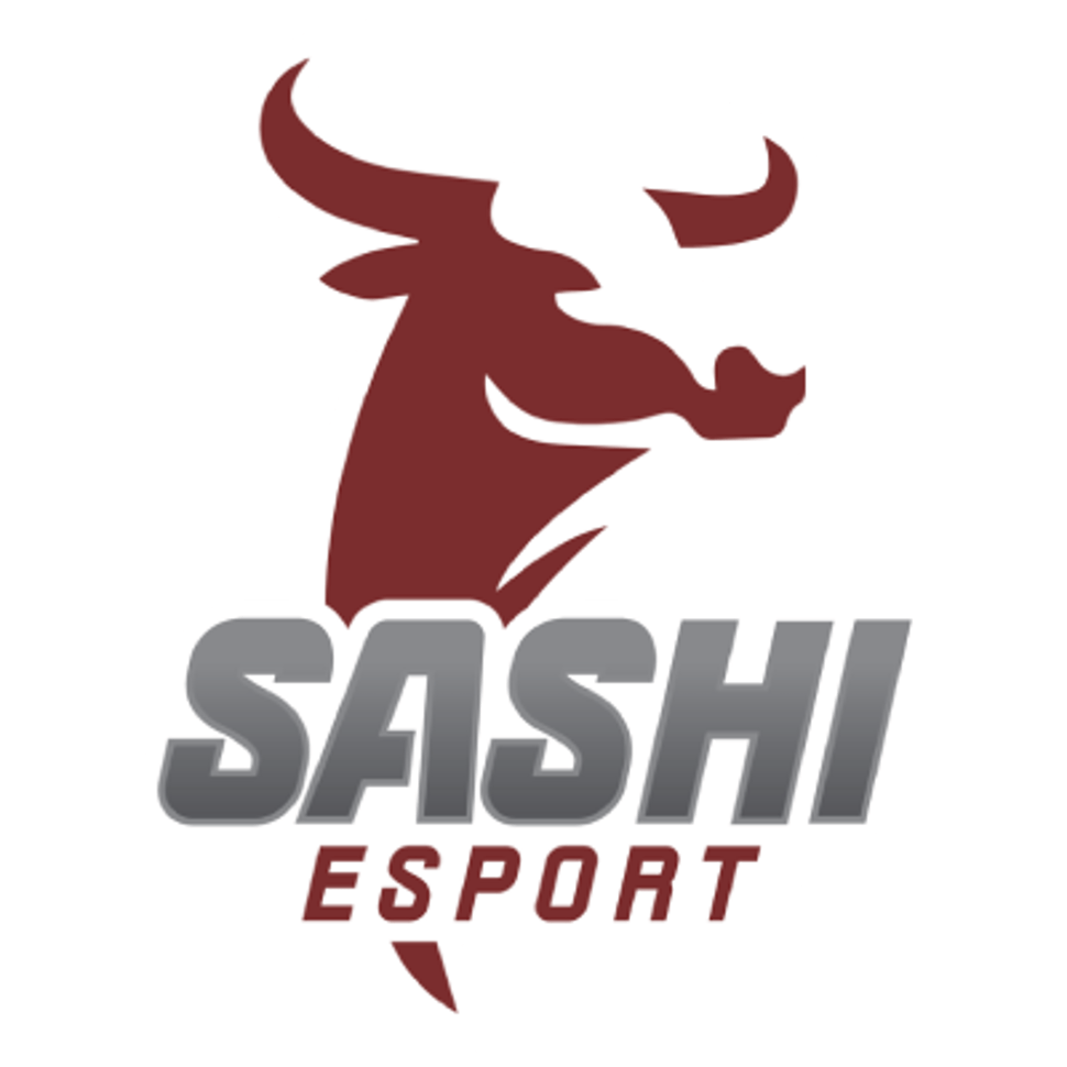 team logo