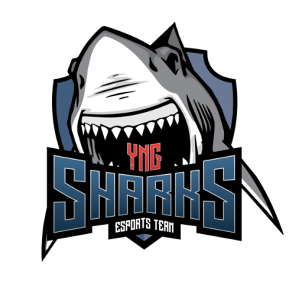 team logo